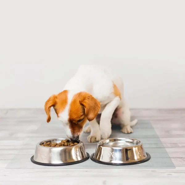 Anti-Microbial Pet Mat for Hard Floors